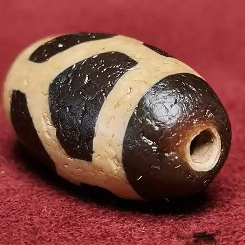 大年份藏传龟甲寿珠天珠21*13mm 满风化,马蹄纹龙鳞纹 这是一颗非常棒