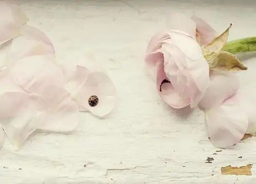 孙慕晴孙华檀孙琪雅孙语楠孙瑶芷孙巧娟孙巧佳孙清燕孙艺嫣孙庆婷孙婉