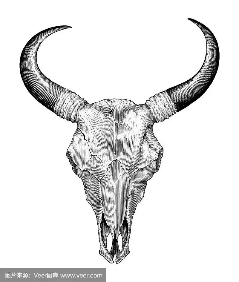 骷髅牛手绘复古雕刻