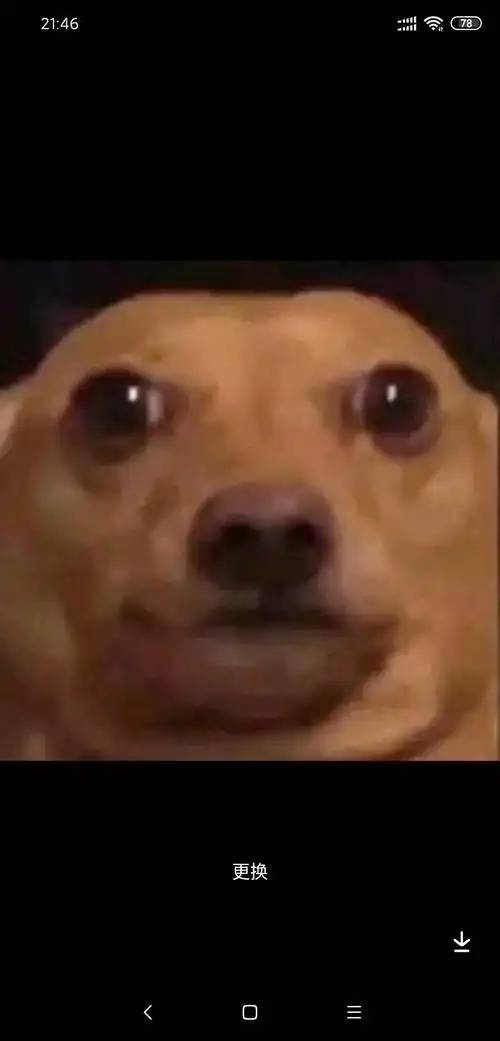 沙雕图(猜猜哪个是我抖音头像)