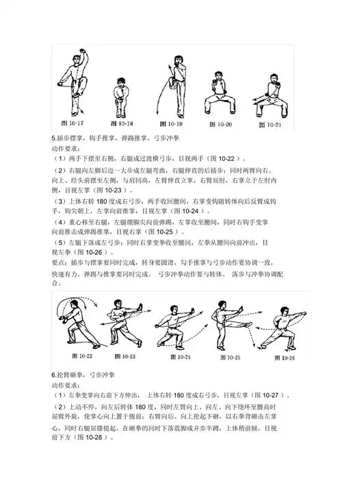 形神拳教学图解