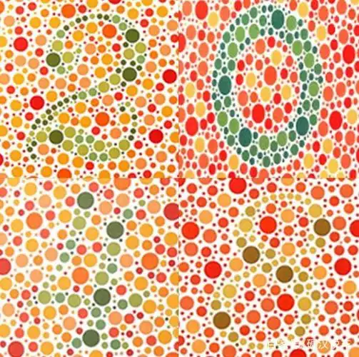 色盲测试:若看不清这几张"色盲监视图",你可能真的与驾照无缘