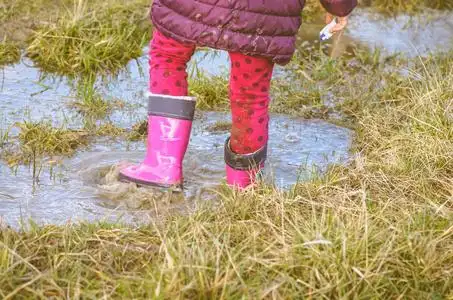 多雨的泥坑照片