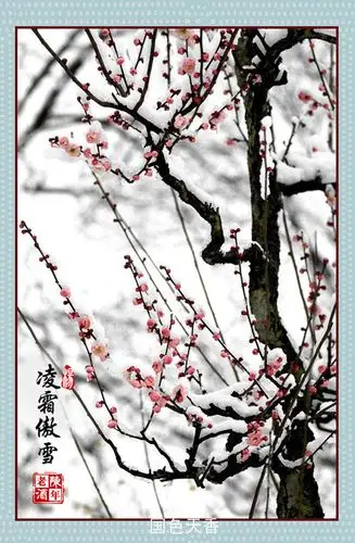 《卜算子咏梅》赏析