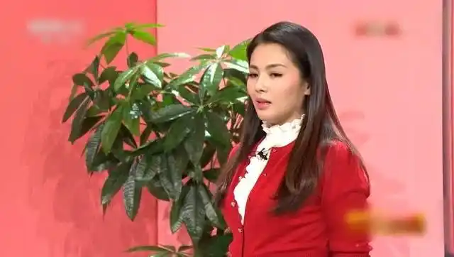 郭冬临 刘涛小品搞笑大全 一定找到你!