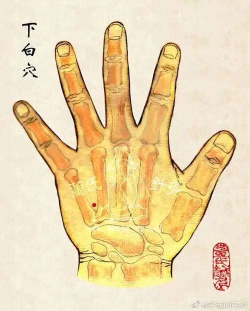 刘红云董氏奇穴针灸教学,二二部位:下白穴