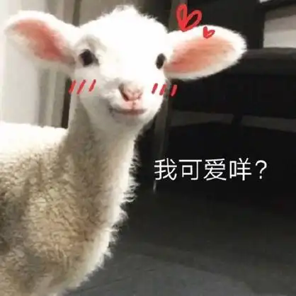我可爱咩? - 小羊表情包系列_绵羊_斗图表情