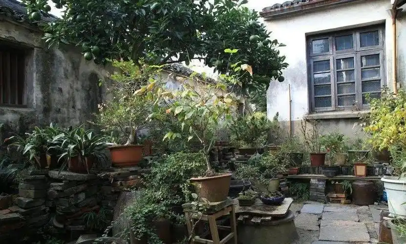 如果你在农村有一个老院子千万不要荒废了要这样整起来