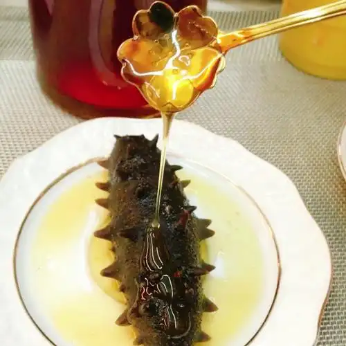 蜂蜜海参的功效与作用_大全-幸福起航