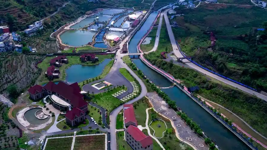康养之地 满目青翠 | 贵州日报聚焦水城区生态推出整