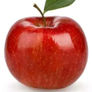 红苹果爱种菜头像