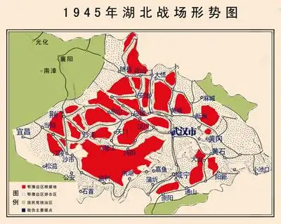 武汉大学历史学院教授 彭敦文