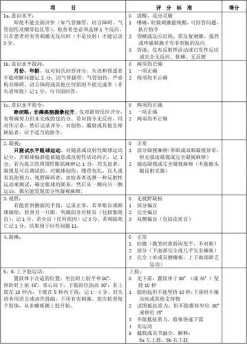 nihss_评分量表_使用版