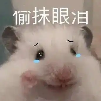 就问谁不爱啊可爱鼠鼠仓鼠崽崽表情包让朋友之间的聊天变得更加有趣