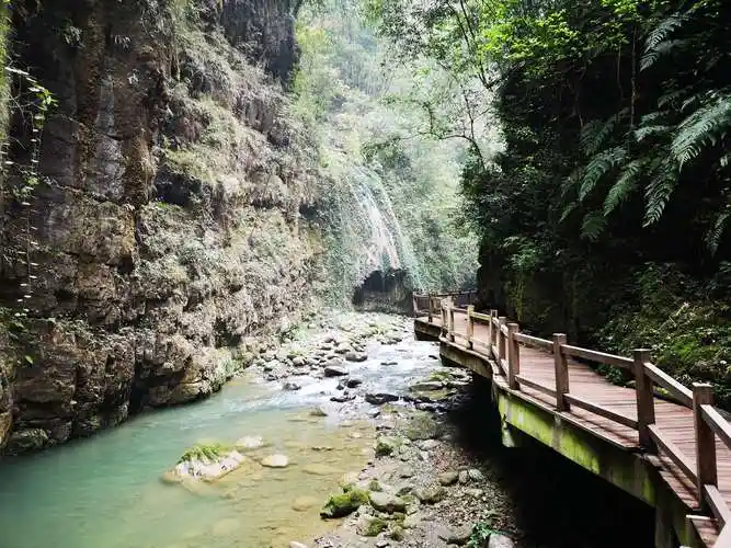 重庆之旅～黑山谷