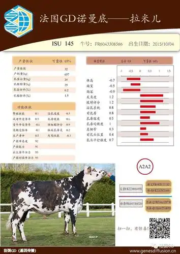 优良种公牛冻精