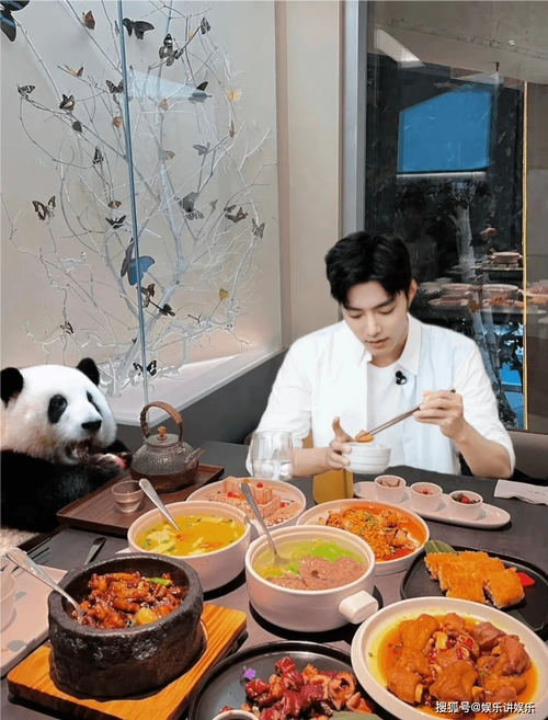 网友自制川渝两大顶流合照,直言肖战会喜欢,坚果有被内涵到!