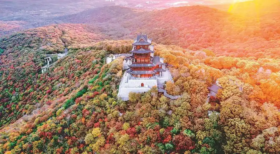 废掉一张门票 赢得一座"金山"