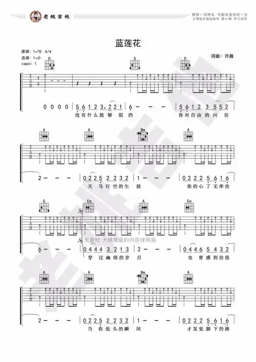 许巍蓝莲花吉他谱d调吉他弹唱谱