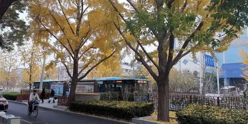 701路公共车在这里的站名叫二里沟东口,在它旁边地铁的站名却是车公庄