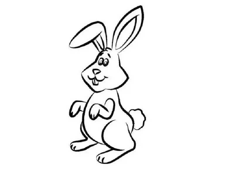 素描兔子的图片(131张)