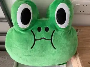 line friends系列 蛙里奥抱枕,中型.青蛙靠枕抱枕