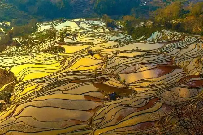 云南 · 红河哈尼梯田,红日,霞光,云海在梯田上交相辉映,绝美震撼.