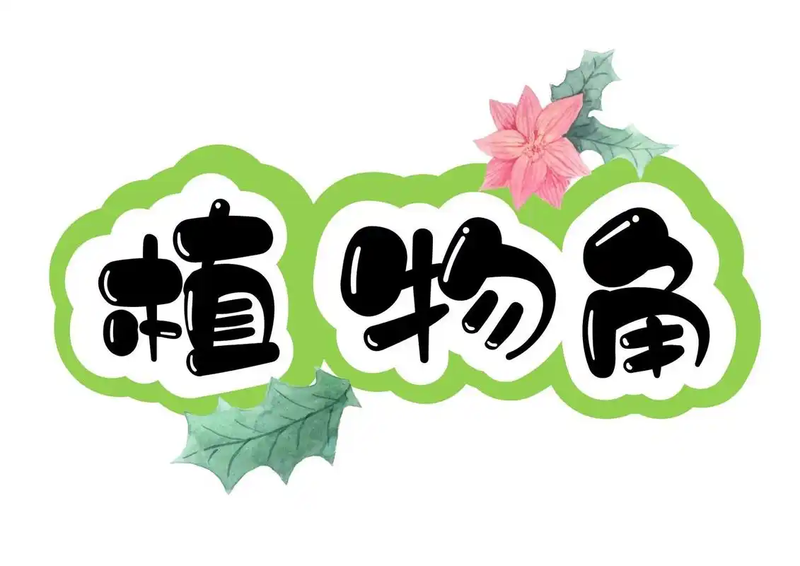 艺术字分享:植物角   02020202020202020202 	 *