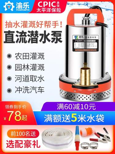 12v直流潜水泵24v48v60v伏家用电瓶车小型水泵电动车抽水机高扬程