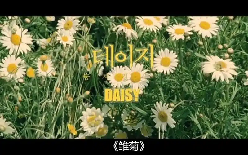 10分钟看完韩国高分爱情电影《雏菊》