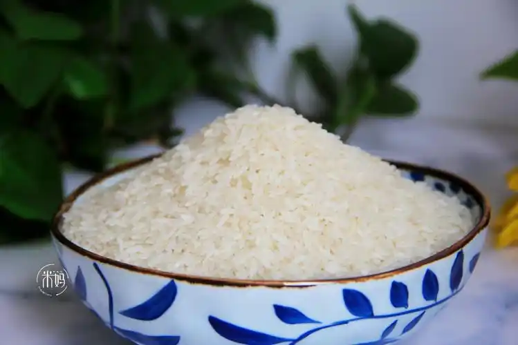 煮米饭记住这4点,煮出的米饭粒粒分明更香软,没菜也能吃2大碗