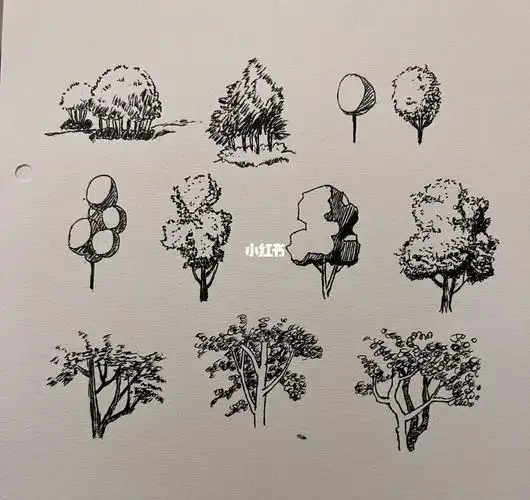 今天继续练习画树速写3分钟画一棵树