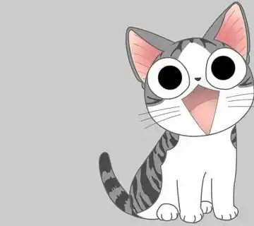 呆萌大眼短腿起司猫头像合集丨起司猫甜甜私房猫起司猫壁纸萌萌哒猫咪