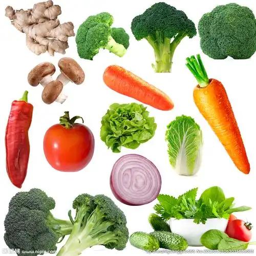 psd(cs6)颜色:rgb100共享分举报收藏立即下载×关 键 词:蔬菜 有机