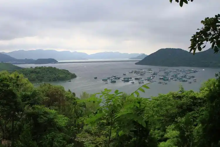 03 接触香港多样的岩石地貌之八: 香港二叠纪园–马屎洲特别地区