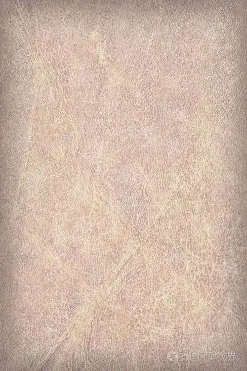 高分辨率复古羊皮纸渐晕纹理