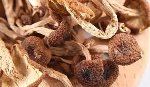 茶树菇发霉的图片通过色泽和气味判断