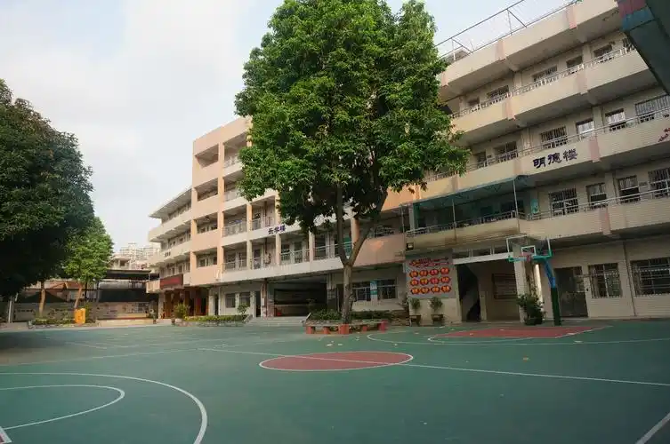校园新貌6-东莞市莞城阮涌小学