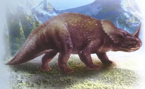 独角龙词条图册_百度百科