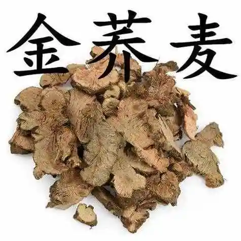 金荞麦的作用中药里的金荞麦
