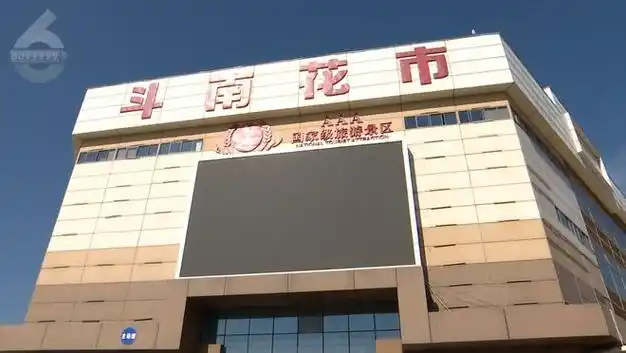 都来搞批发吗春节8天斗南卖出了28亿枝鲜花