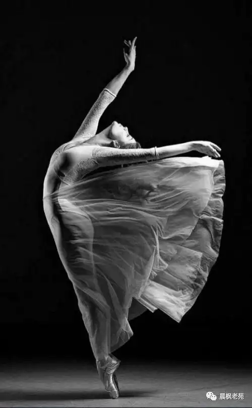 黑白的舞姿