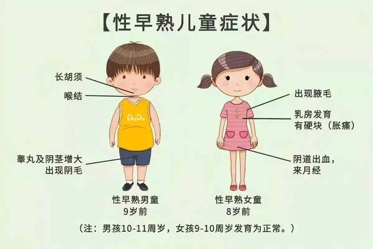女孩子下边发育图片(女孩) - 赤虎壹号