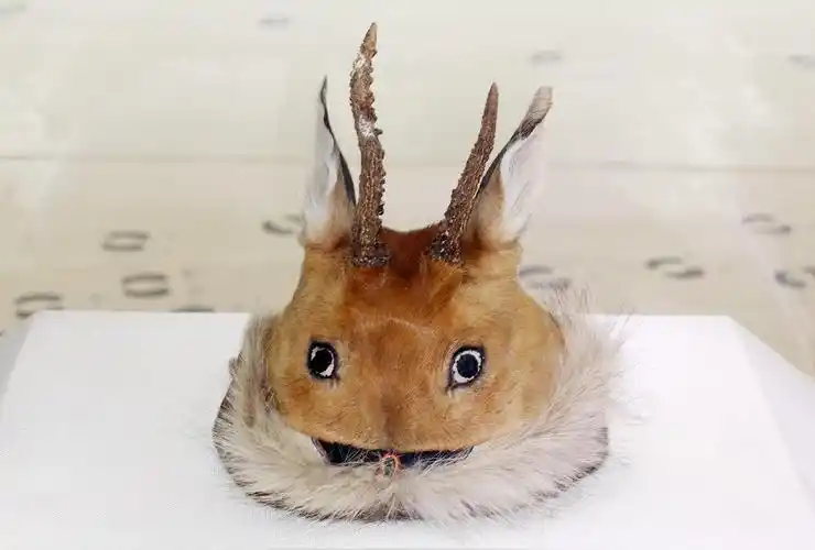 狍头皮帽(大兴安岭鄂伦春族戴的一种帽子))_石塘网