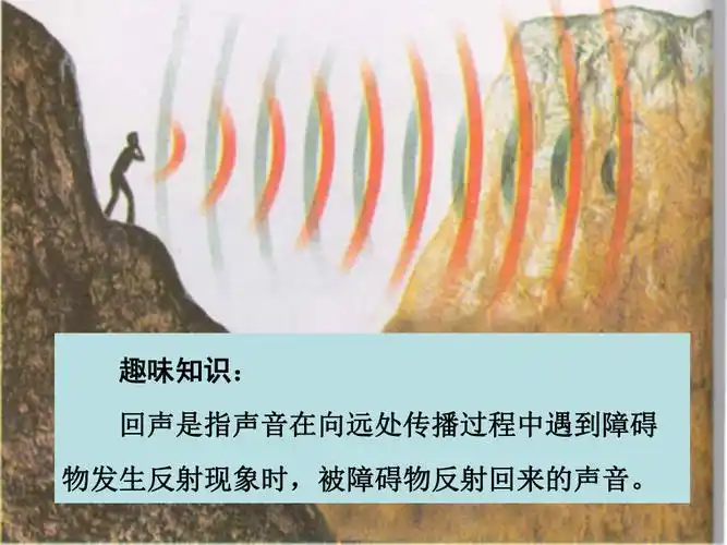 《回声》ppt课件