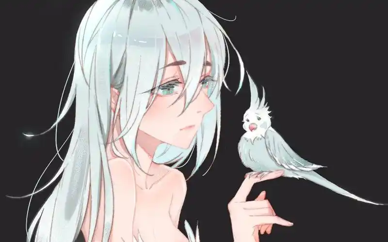 绘画过程玄凤鹦鹉拟人60倍速结尾彩蛋