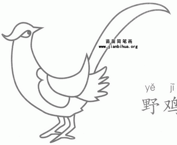 卡通山鸡简笔画