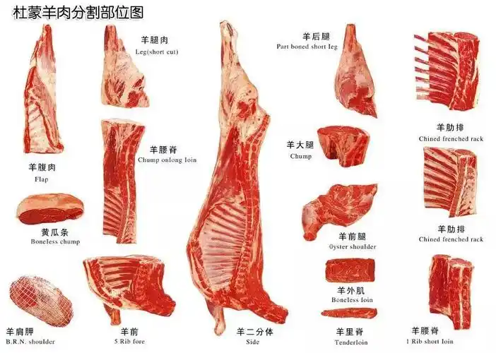 穿什么秋裤,你需要的是羊肉!