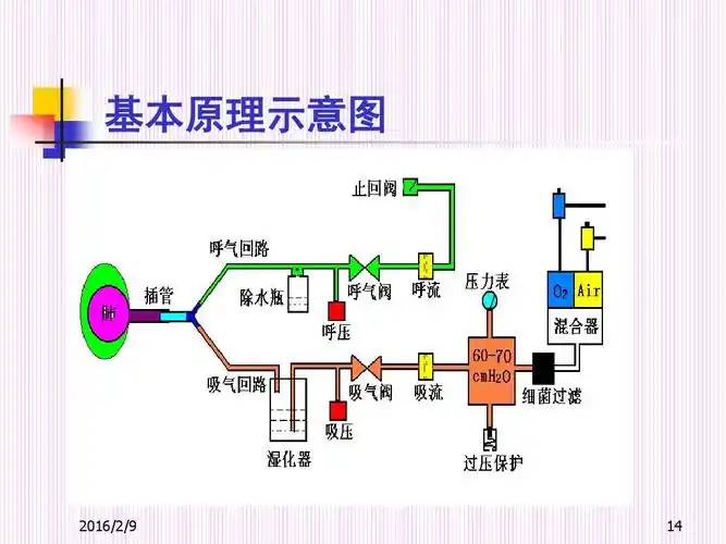 无忧文档 所有分类 医药卫生 临床医学 呼吸机ppt 基本原理示意图