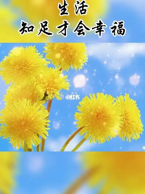 简单才会快乐心态阳光就会一路芬芳幸福是一种感觉心态好一切都会好